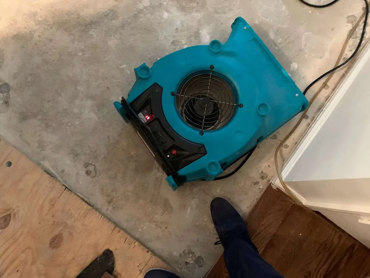 Air mover drying subfloor during Commercial Water Damage Restoration in Bostonia