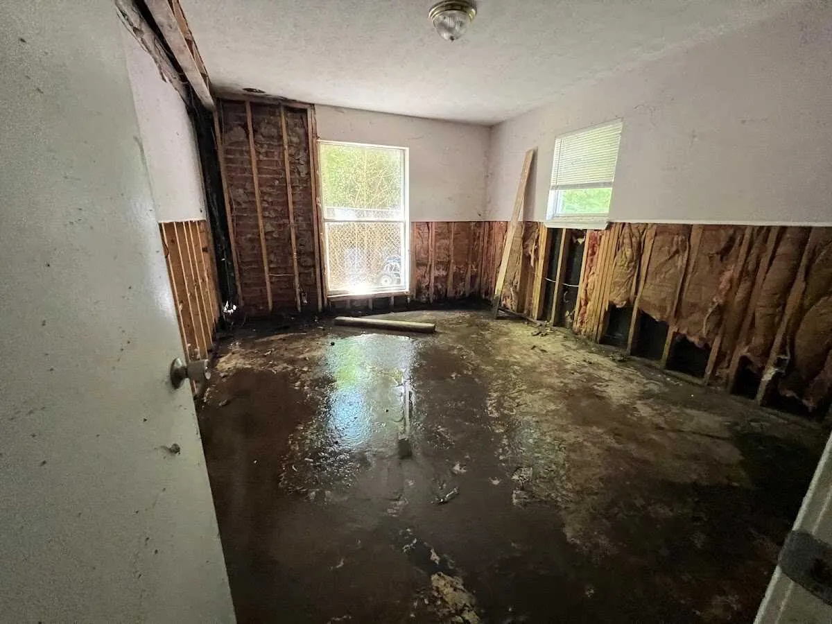 Water Damage Restoration services in Bostonia, CA